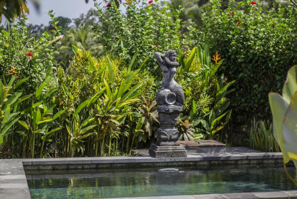 Graha Rusni Villa อูบุด ห้อง รูปภาพ